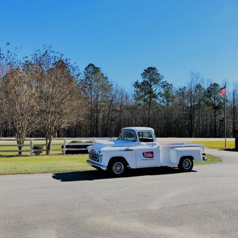 Delta Termite & Pest Control - Pest Control Near Me - Waynesboro, Georgia Delta Termite & Pest Control - Pest Control Near Me - Waynesboro, Georgia