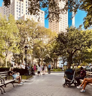 Madison Square Park by null