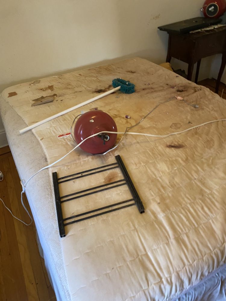 Aliza’s &stars junk removal