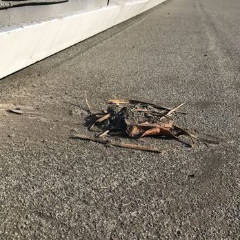 Cravin-Clean - this are some debris left on the roof after cleaning. - Window Washing Near Me