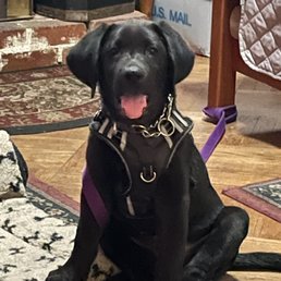Casey has the best vet!