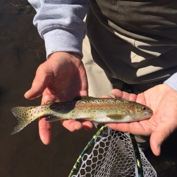 The Reel Life - Fishing Near Me - Santa Fe, New Mexico