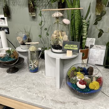 PlantHouse - Nurseries & Gardening Near Me - Alexandria, Virginia