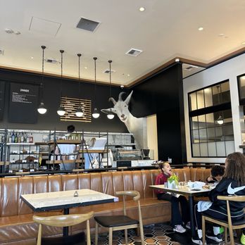 Goat Tree - The GOAT - Cafes Near Me - Santa Barbara, California Goat Tree - The GOAT - Cafes Near Me - Santa Barbara, California