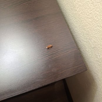 Quality Inn - Roach - Hotels Near Me - Tullahoma, Tennessee Quality Inn - Roach - Hotels Near Me - Tullahoma, Tennessee