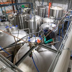 Imperial Yeast