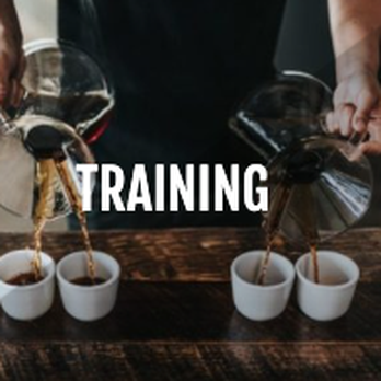 Morningstar Coffee - TRAINING - Wholesale Stores Near Me - Minneapolis, Minnesota Morningstar Coffee - TRAINING - Wholesale Stores Near Me - Minneapolis, Minnesota