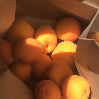 Pomeroy Farm - Fruits & Veggies Near Me - Brentwood, California Pomeroy Farm - Fruits & Veggies Near Me - Brentwood, California