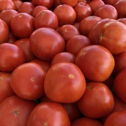 Gainesville Farmers Market - Community Foodworks