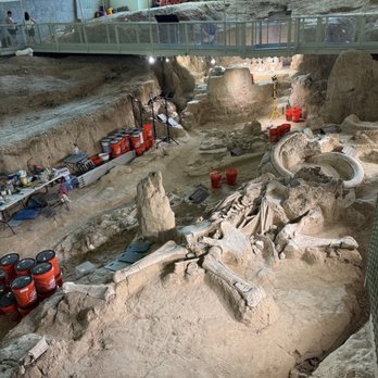 Waco Mammoth National Monument - Museums Near Me - Waco, Texas Waco Mammoth National Monument - Museums Near Me - Waco, Texas
