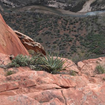 Angel's Landing - Gravity-defying! - Hiking Near Me - Springdale, Utah Angel's Landing - Gravity-defying! - Hiking Near Me - Springdale, Utah