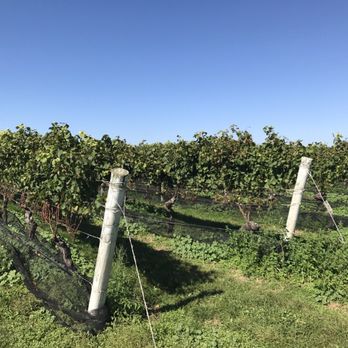 Pindar Vineyards - Wineries Near Me - Peconic, New York Pindar Vineyards - Wineries Near Me - Peconic, New York
