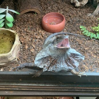 Reptile Island - Pet Stores Near Me - Stanton, California