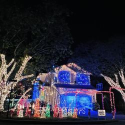 Christmas Light Show