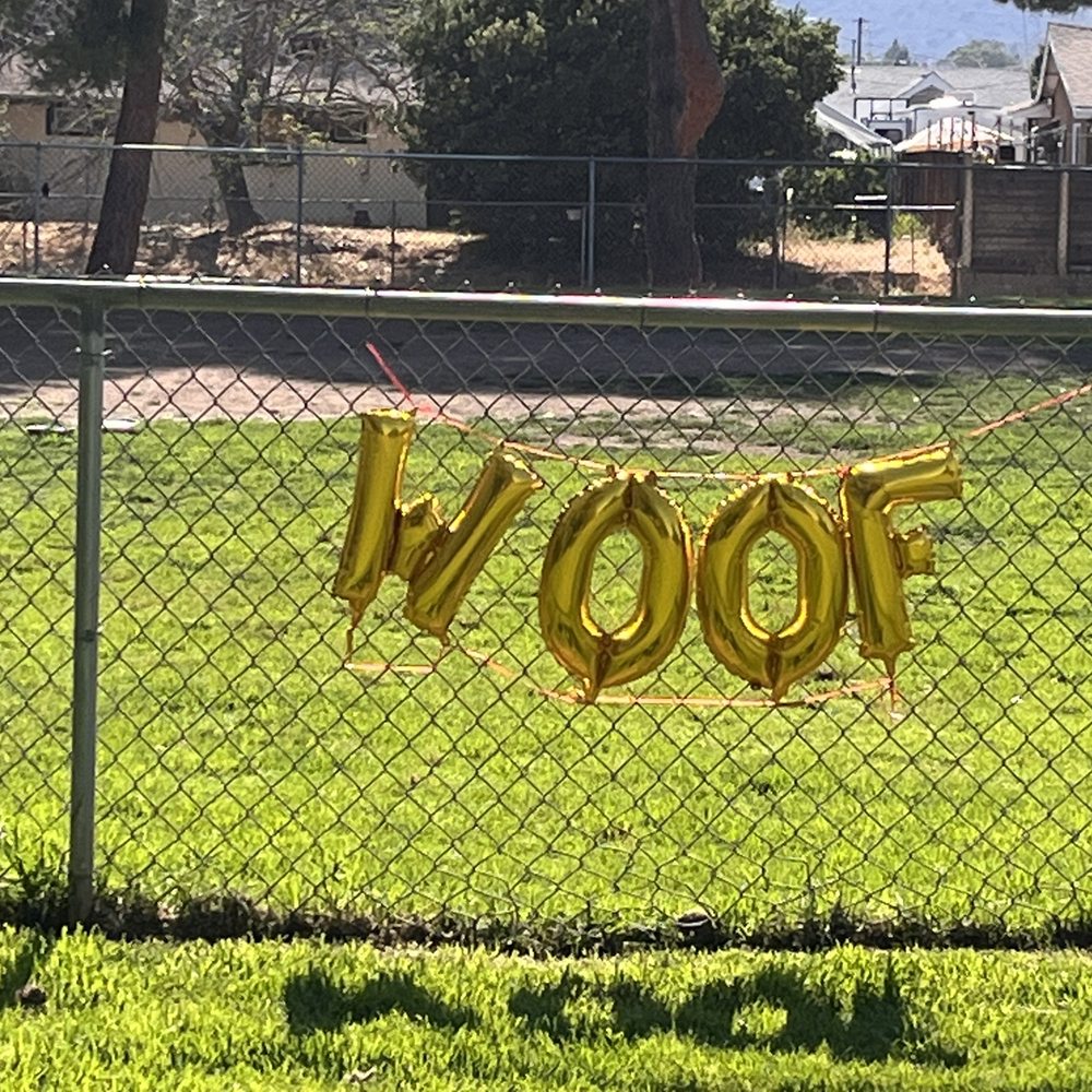GLAM 5 - Balloons spelling out woof - Party Supplies Near Me - Hemet, California