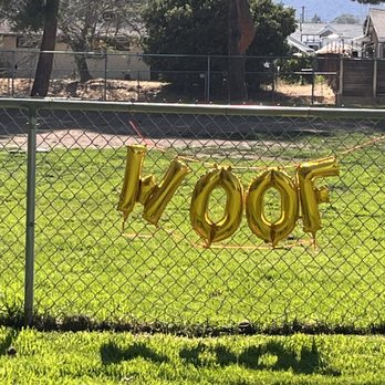 GLAM 5 - Balloons spelling out woof - Party Supplies Near Me - Hemet, California GLAM 5 - Balloons spelling out woof - Party Supplies Near Me - Hemet, California