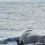 Photo of Eco Adventures Puerto Escondido