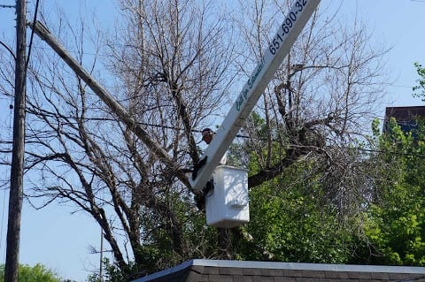 Tree Services - All Season's has you covered from regular tree maintenance to 24/7 Emergency Storm Damage Services.  As a local family-owned and operated for over 44 years serving residential, commercial, HOA's, Realtors, and Property Management companies we have the experience and an Arborist with a professional seasoned crew to handle all your needs.
