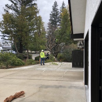 Travis Tree Service - Driveway - Tree Services Near Me - Fresno, California