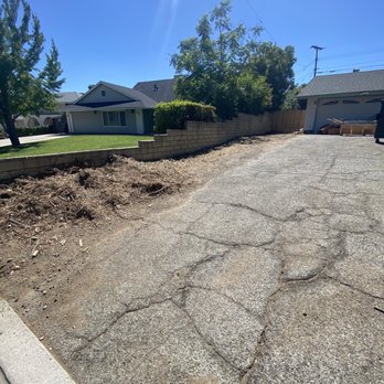 Ayala's Tree Service - After - Tree Services Near Me Ayala's Tree Service - After - Tree Services Near Me