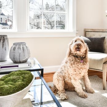 Manor House Apartments - We are a pet friendly apartment complex, so bring your furry friends! - Apartments Near Me - Alexandria, Virginia Manor House Apartments - We are a pet friendly apartment complex, so bring your furry friends! - Apartments Near Me - Alexandria, Virginia