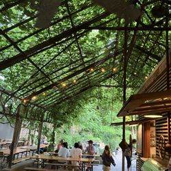 Canopy