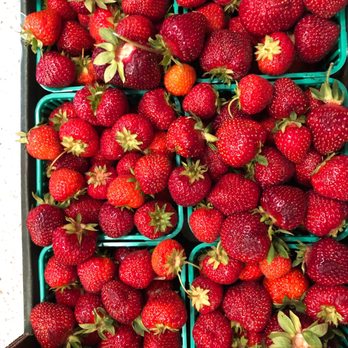Willow Tree Farms - Farmers Market Near Me - Port Perry, Ontario Willow Tree Farms - Farmers Market Near Me - Port Perry, Ontario