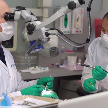 Tangredi Endodontics - Tangredi Endodontics - Endodontists Near Me - Commack, New York Tangredi Endodontics - Tangredi Endodontics - Endodontists Near Me - Commack, New York