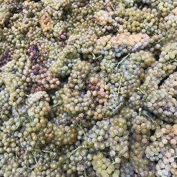 Eberle Winery - Chardonnay anyone? - Wineries Near Me - Paso Robles, California Eberle Winery - Chardonnay anyone? - Wineries Near Me - Paso Robles, California