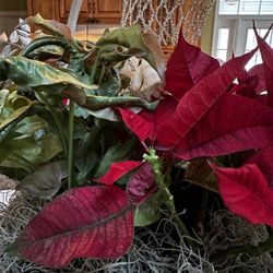 Collene's Crafts & Flowers - Dying flowers