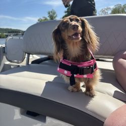Freedom Boat Club - Pittsburgh