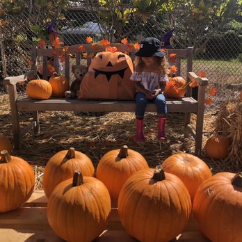 Mari's Gardens - Nurseries & Gardening Near Me - Mililani, Hawaii