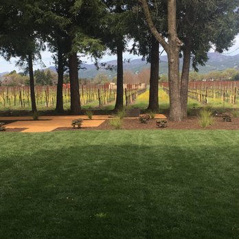 Green Giant Landscape Design - trees and a bench - Landscaping Near Me - Sonoma, California Green Giant Landscape Design - trees and a bench - Landscaping Near Me - Sonoma, California
