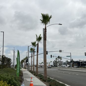 D&N Tree Care - Tree Services Near Me D&N Tree Care - Tree Services Near Me