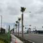 Photo of D&N Tree Care