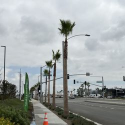 D&N Tree Care