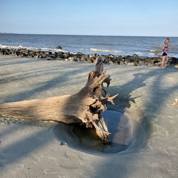 Driftwood Beach - Beaches Near Me - Jekyll Island, Georgia Driftwood Beach - Beaches Near Me - Jekyll Island, Georgia