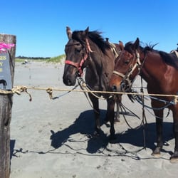 Chance a La Mer State Park