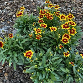 Welch Outdoor - Landscaping Near Me Welch Outdoor - Landscaping Near Me