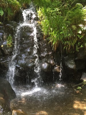 Kawazu Seven Waterfalls by null