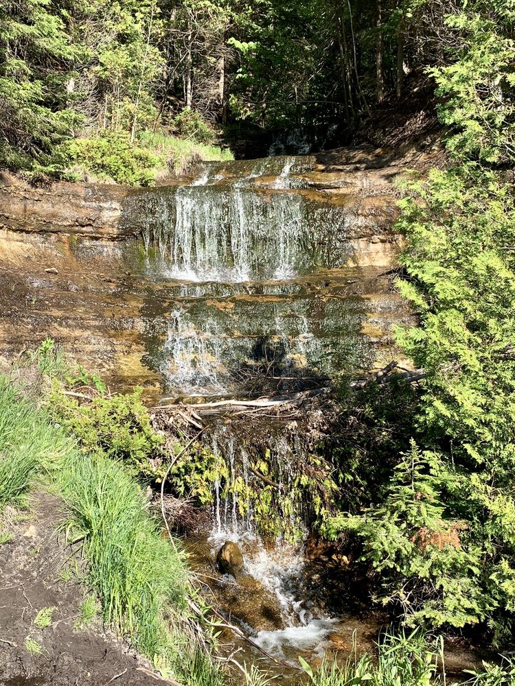 Alger Falls Logo
