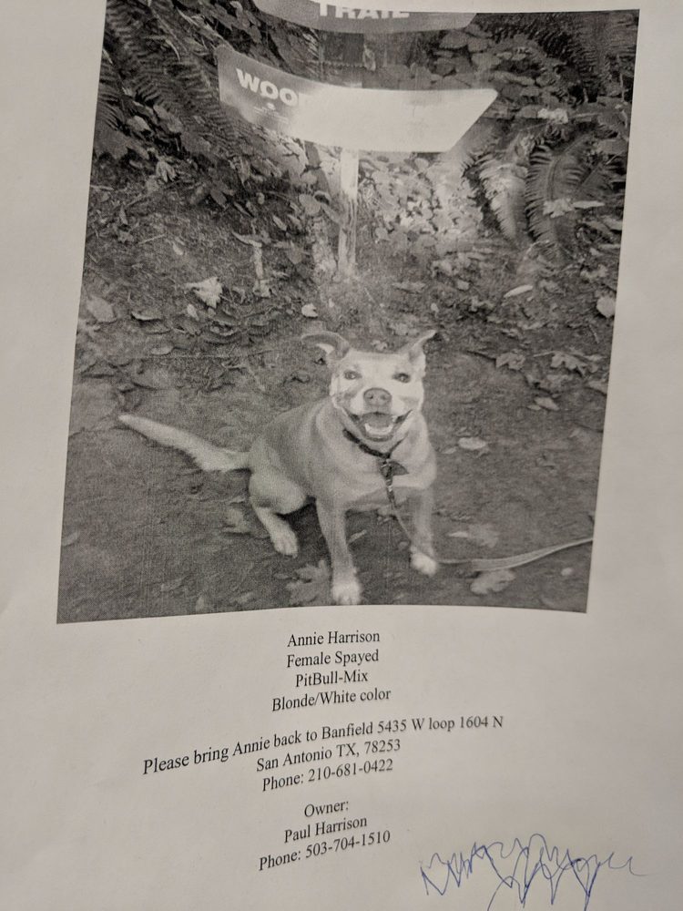 petsmart alamo ranch banfield