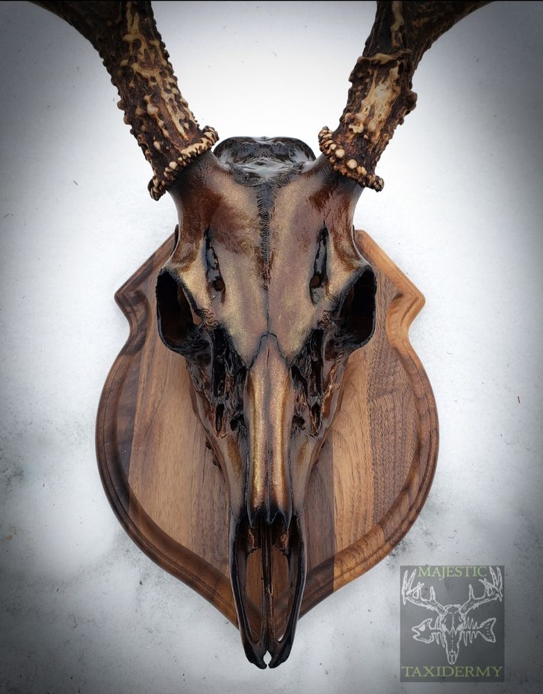 Majestic Taxidermy - taxidermy in Ludington, MI