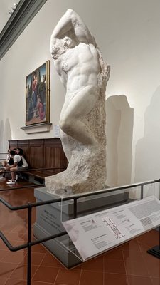 Galleria dell’Accademia di Firenze by null