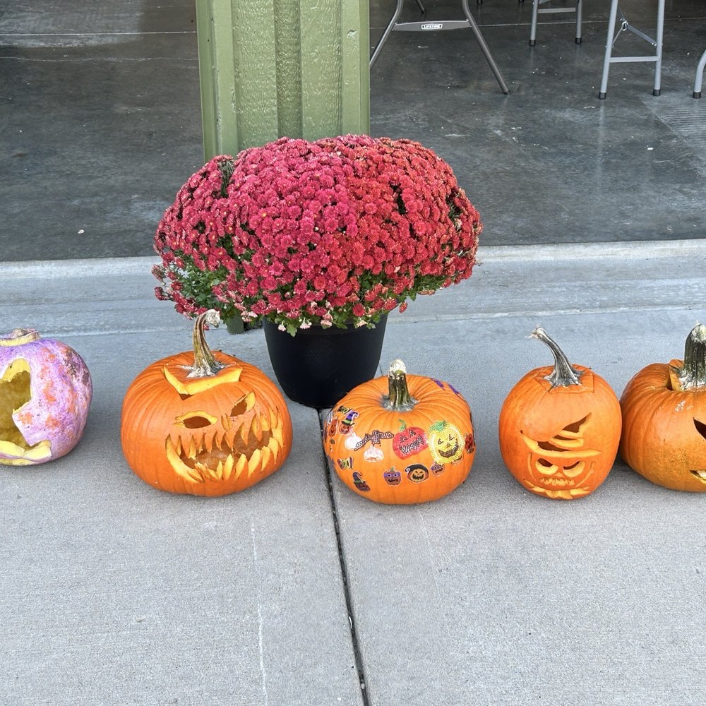 Johnny’s Mule Pride Pumpkin Patch - Pumpkin Patches Near Me - Lathrop, Missouri