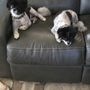 Photo of Grooming By Tia