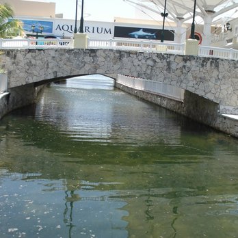Interactive Aquarium Cancún - Aquariums Near Me - Cancún, ROO