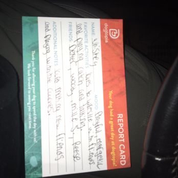 Dogtopia - Her first report card! - Pet Groomers Near Me - Plano, Texas