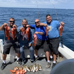 Boat Charters In Seal Beach Yelp Boat Charters In Seal Beach Yelp