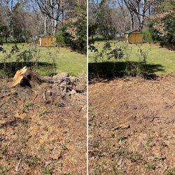 Raleigh Stump Grinding